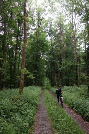 Auf dem Weg zur Rother Kuppe