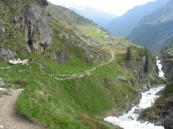 Blick zurück zum Aufstieg neben dem Alpeiner Bach