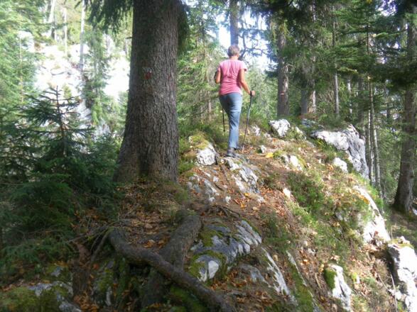 Felsrippe am Südwestrücken