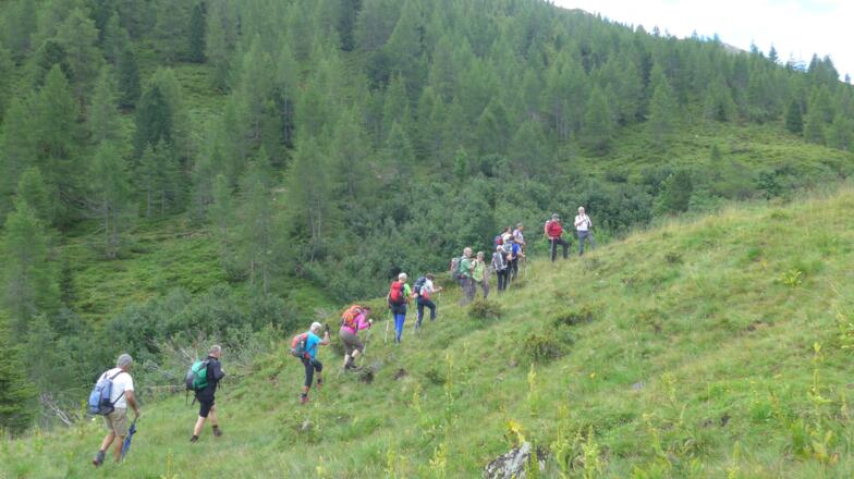 Wegpassage nach der Lappachalm