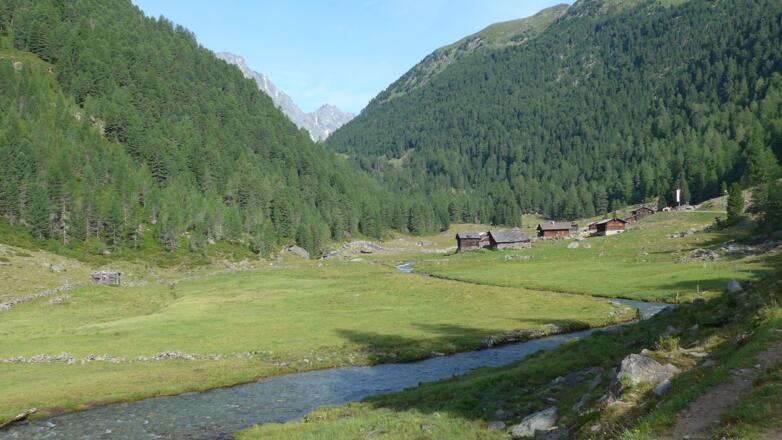 Die Vordere Trojeralm