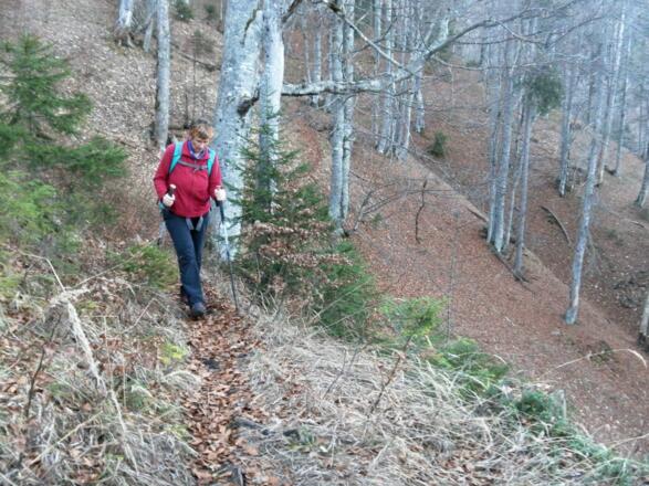 langatmiger Waldpfad