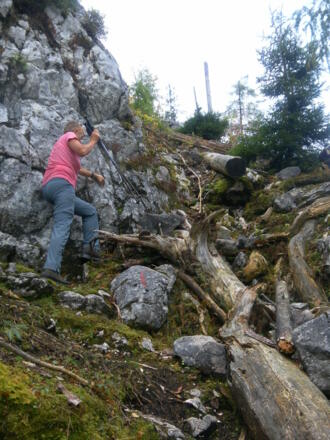 gut markierter wilder Steig