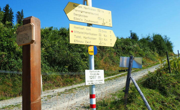 Obere Rahnhartalm 1267m