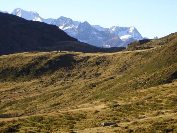 Blick zur Reichenspitzgruppe - Zillertaler Alpen