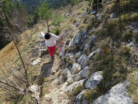 Ab ca. 950 m ändert der Weg seinen Charakter und würde nach der Bergwege-Klassifikation einem &quot;schwierigen Bergweg&quot; entsprechen.