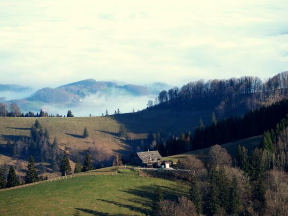 Grünburgerhütte vom Gaisberg 1264m