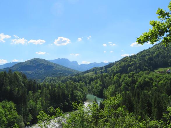 Entlang der Steyr nach Frauenstein