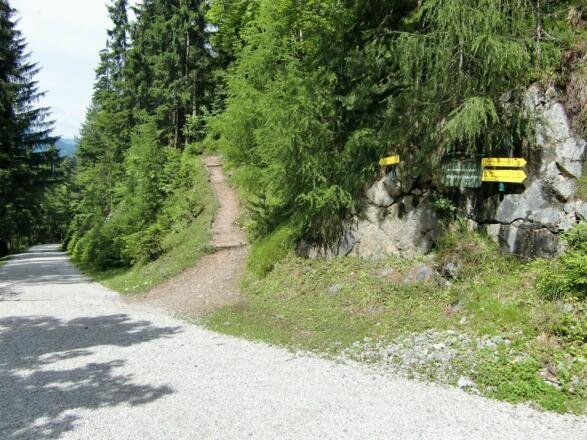 Abzweigung Wanderweg
