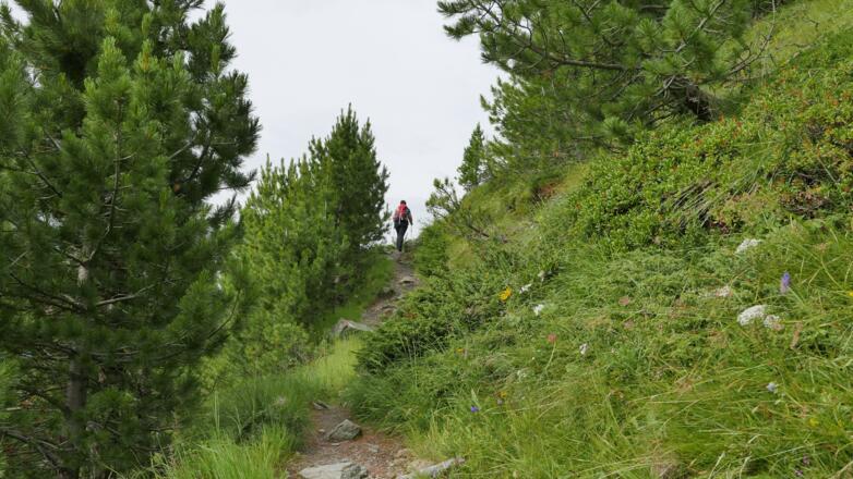 Wegpassage im Steilstück