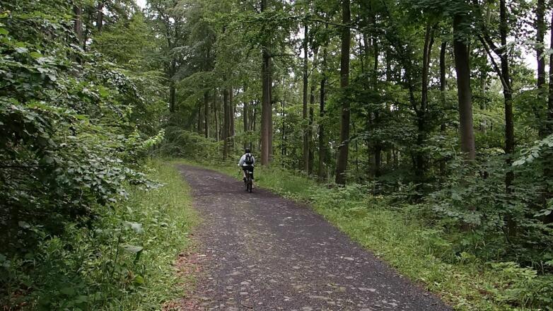 Kurz vor dem Silbersee