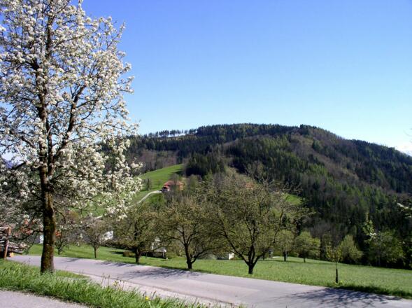 Oberhammet 886m von Oberndorf