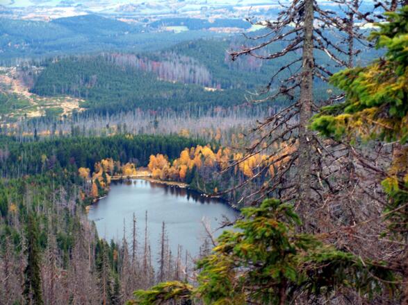 Tiefblick zum Plöckensteiner See von der Aussichtsplattform 1.340 m