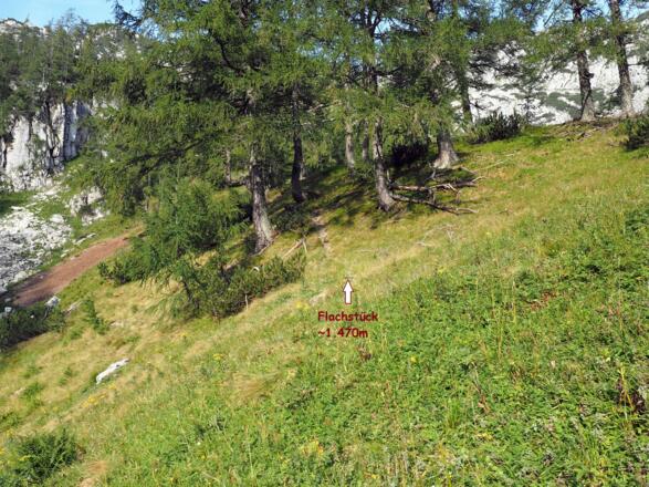 Flachstück ab ca. 1470m