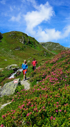 Abstieg vom mittleren Wildalmsee