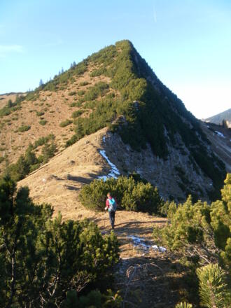 Sattel zwischen Feschjoch und Thalerjoch