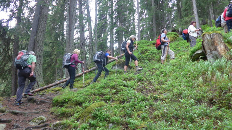 Wegpassage zur Lappachalm