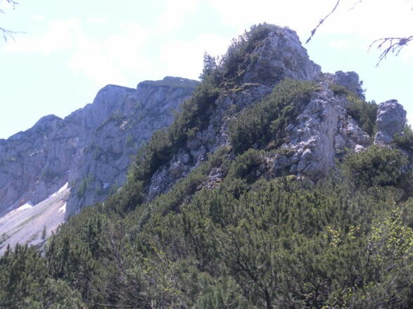 im Schiechlingsattel - Kamm zum Plassen