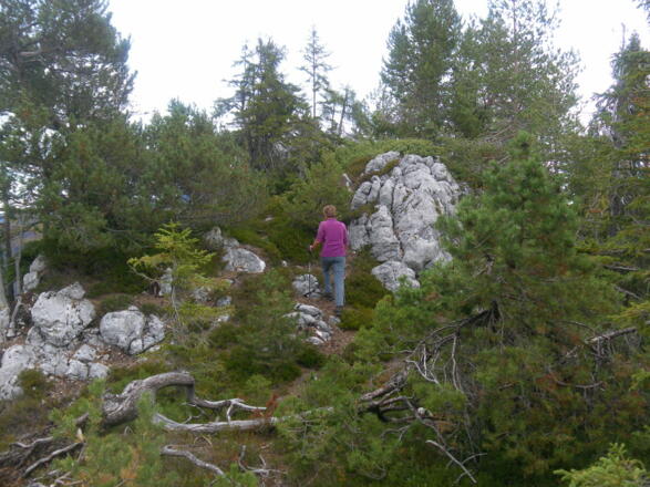 unmarkierter Pfad zum Hauptgipfel