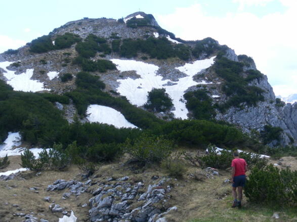 Gipfelstock des Plassen