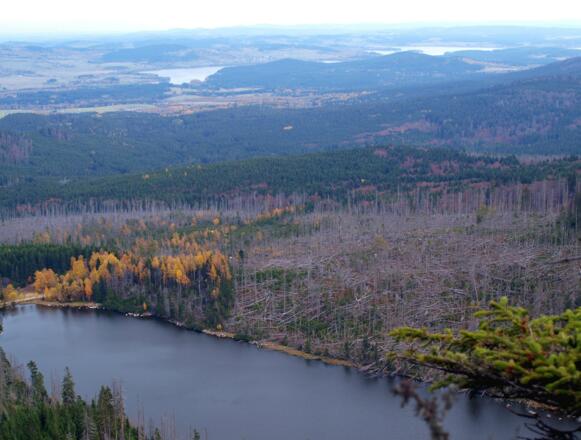 Plöckensteiner- und Moldaustausee vom Denkmal 1310m gesehen.