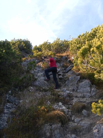 schrofige Latschengassen