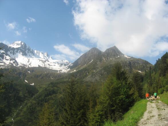 Wir wählen für den Auftstieg den Winterweg
