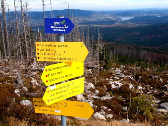 Wegtafel 1325 m vor dem Gipfel (nach Schwarzenberg).
