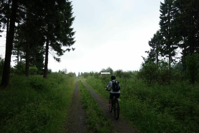 Auf dem Weg zum Schwarzen Moor 
