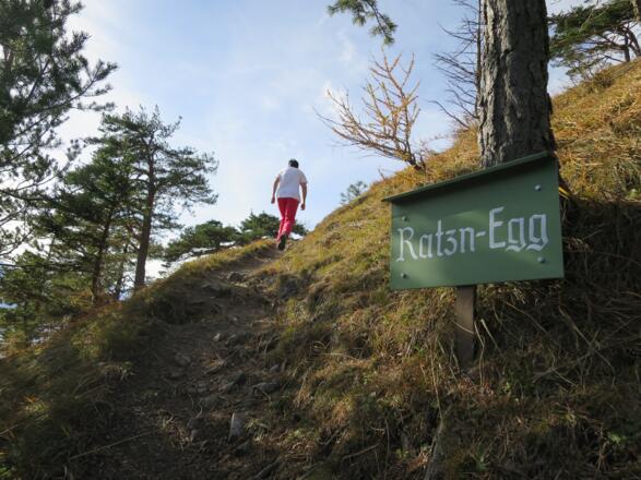 Das Ratzn-Egg auf ca. 900 m.