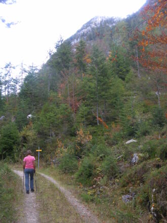 Achhornabzweig vom Güterweg