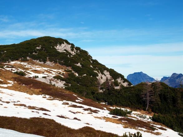 Lange Wand 1689m, ein Latschengipfel