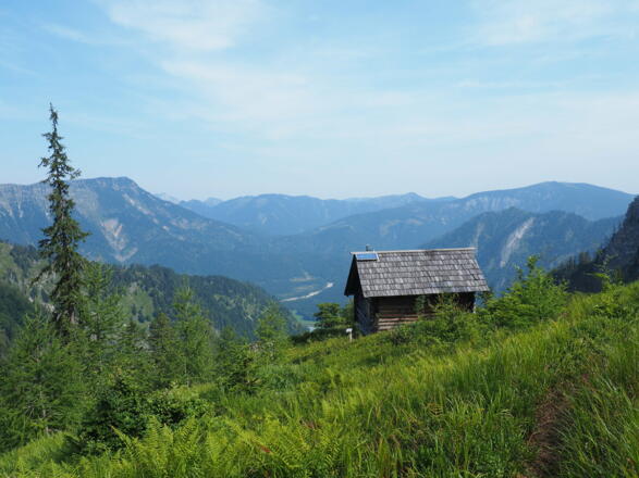 Grünbergalm-Jagdhütte 1250m