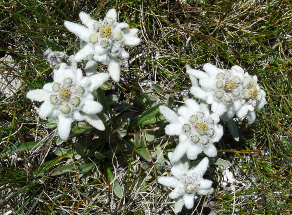 Immer wieder schön zu finden