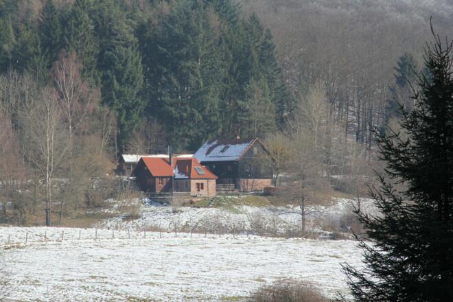 Sylvan im Weihersgrund 2