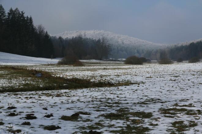 Naturschutzgebiet Weihersgrund