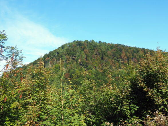 Sonnkogel ~875m, erstes Ziel