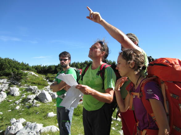 die Taubenkogel Ostwand ist gut einsehbar, da kann man schon mal schauen wo es lang geht