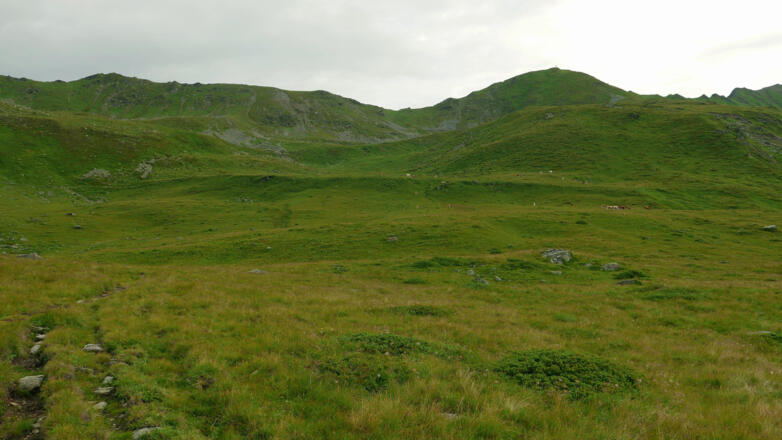 Aufstieg über das Almgelände, halbrechts undeutlich erkennbar das Gipfelkreuz