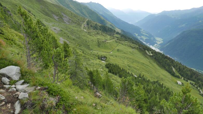 Kurz oberhalb der Hütte im Steilstück