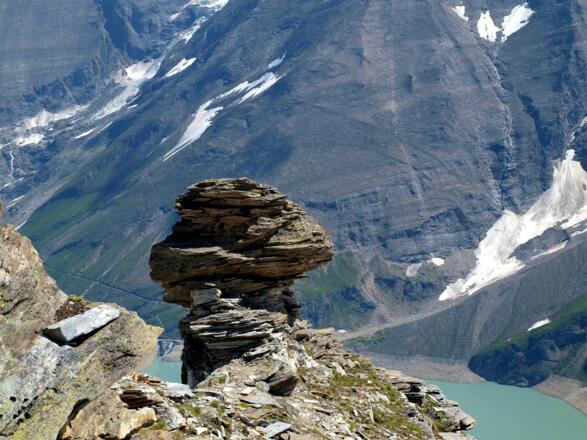 Steinpilz am Grat beim Abstieg