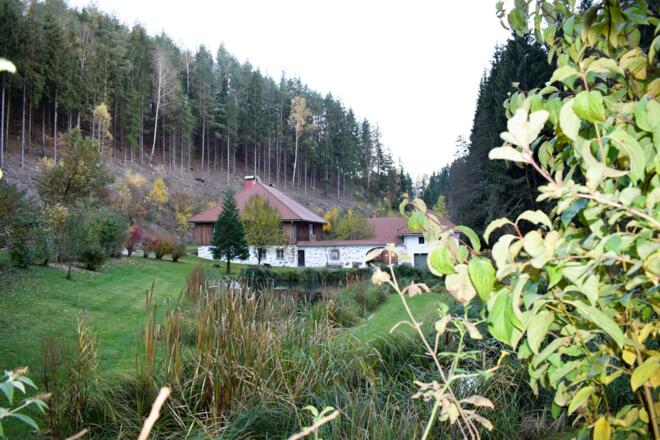 Dornmühle unterhalb von Apfoltern