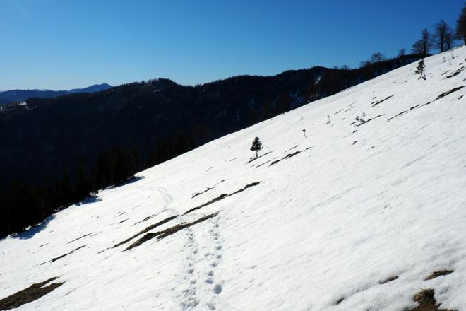 Querung Skiroute ab 1225-1385m