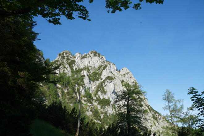 Falkenmauer in Sicht um 1290m