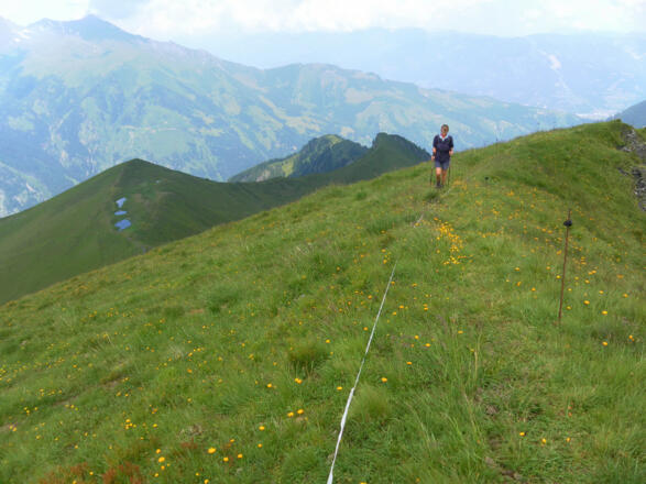 Anstieg vom Kreuzköpfl links zum Kühkarlkopf