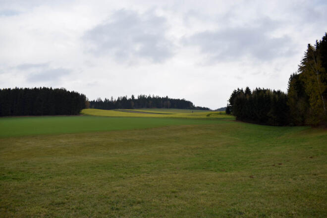 Mühlvierler Hügellandschaft