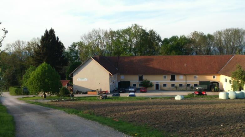 Erdpresserhof 355m, Abfahrt