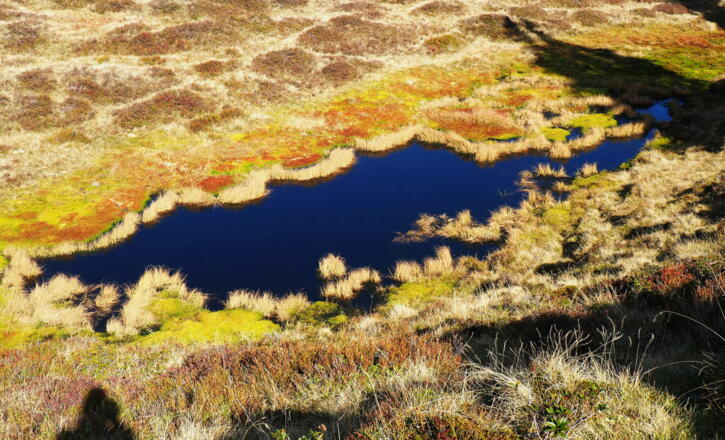 Lacke um 1800m, Abstieg zur Pölsneralm