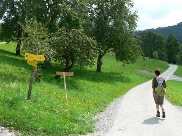 Auf einer wenig befahrenen Straße bis zur &quot;Riegler Seff&quot; am Weg Nr. 13