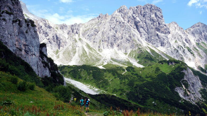 Wegteilung Steiglpass, rechts Hofalm